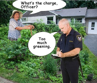 http://endtimeinfo.com/wp-content/uploads/2011/12/illegal-gardening-370x316.jpg