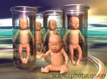 cloned-babies1