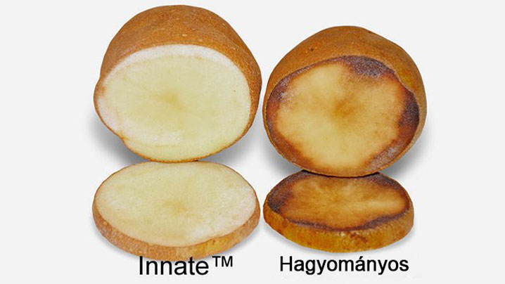 simplot-innate-potato